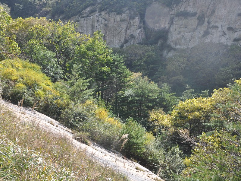 PhotoCap_141.jpg