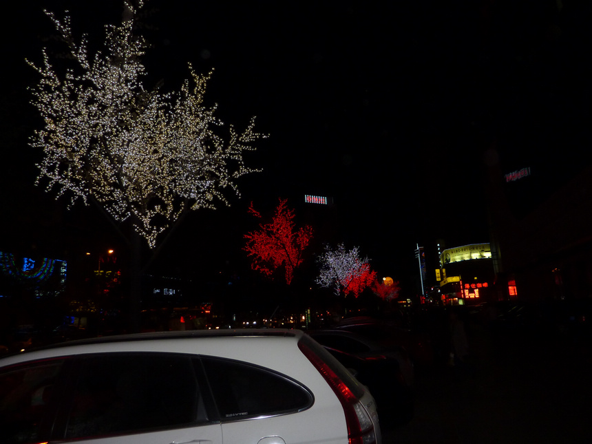 P1000239.jpg