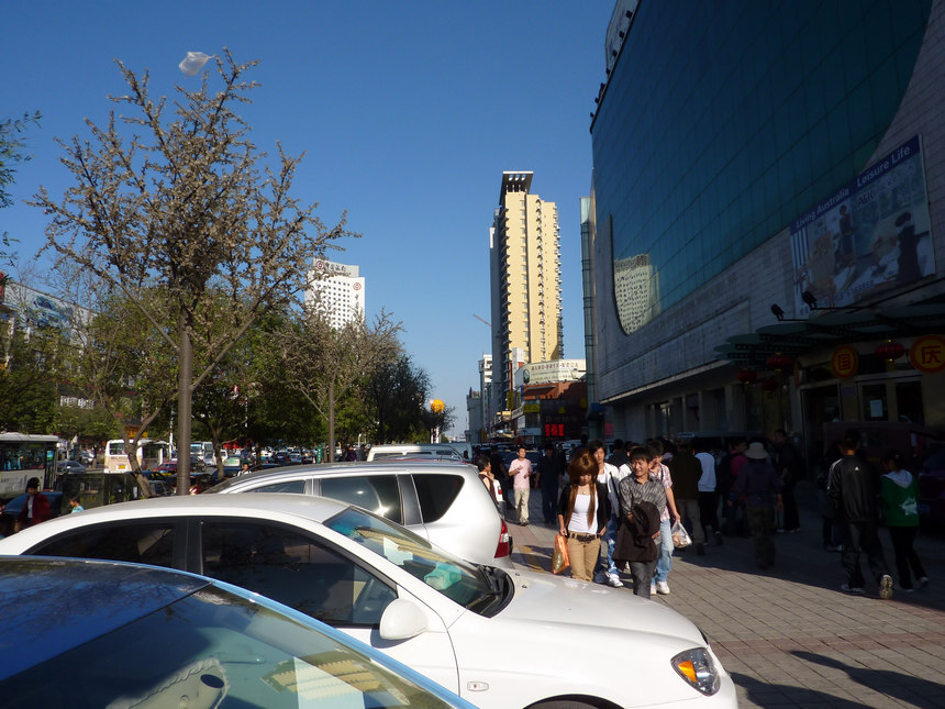 P1000238.jpg