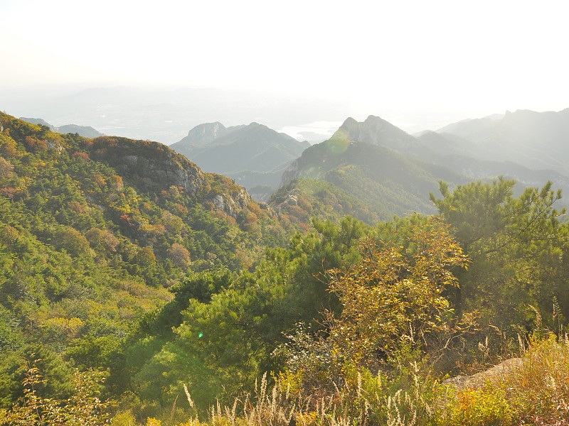 PhotoCap_161.jpg