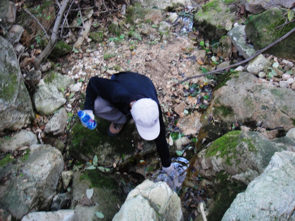 DSC06174.jpg