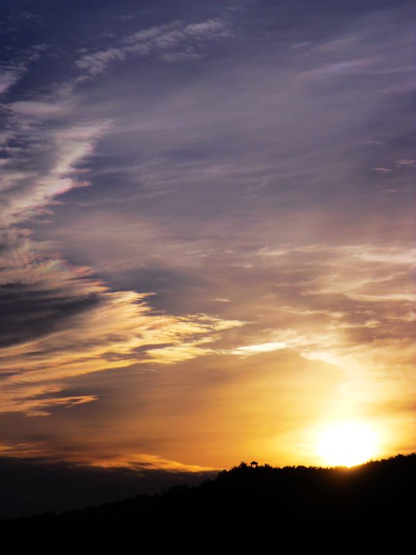 DSCF3703-2.jpg