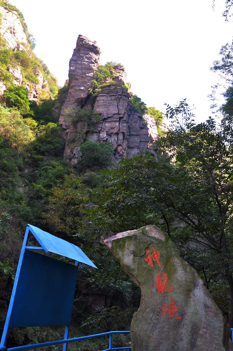 DSC_0034.jpg