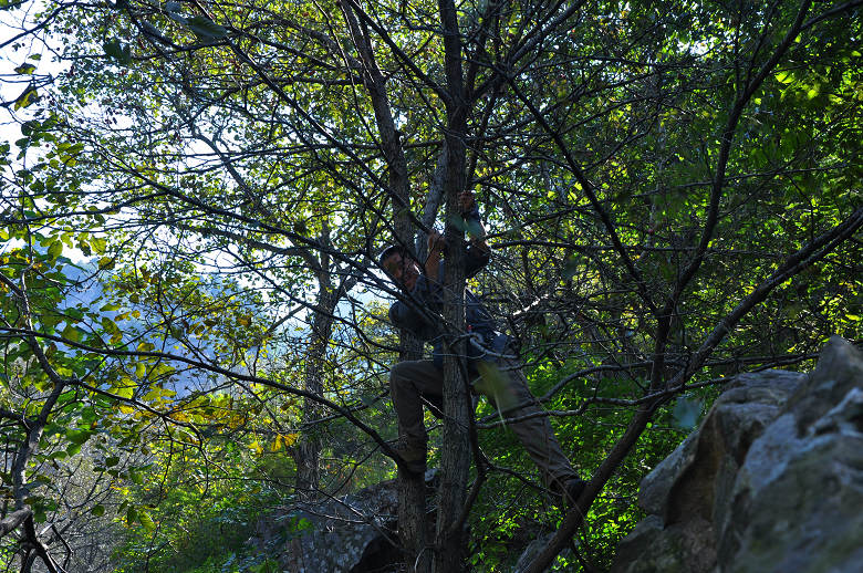 DSC_0038.jpg