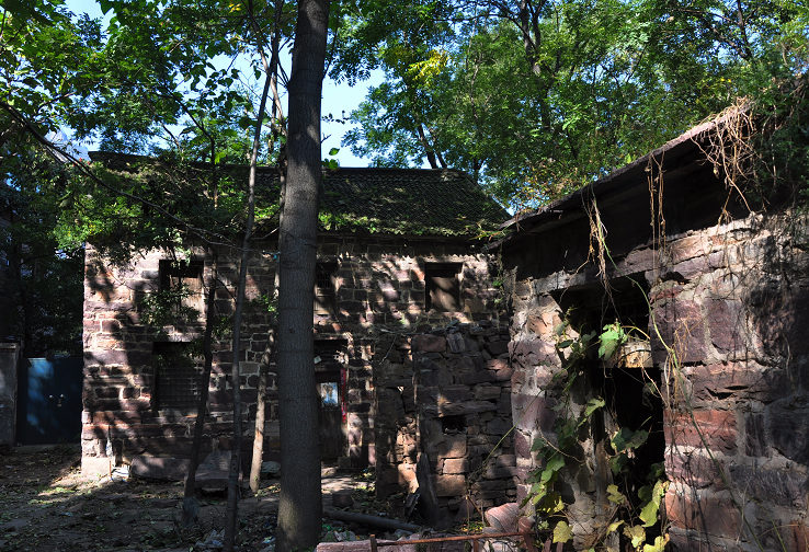 DSC_0049.jpg