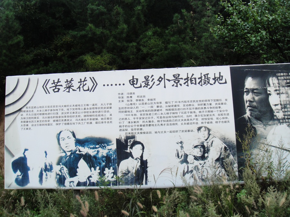 DSC06225.jpg