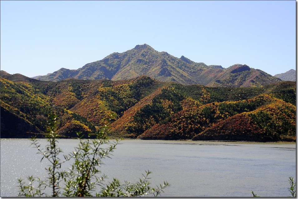 坝上秋色 528.jpg