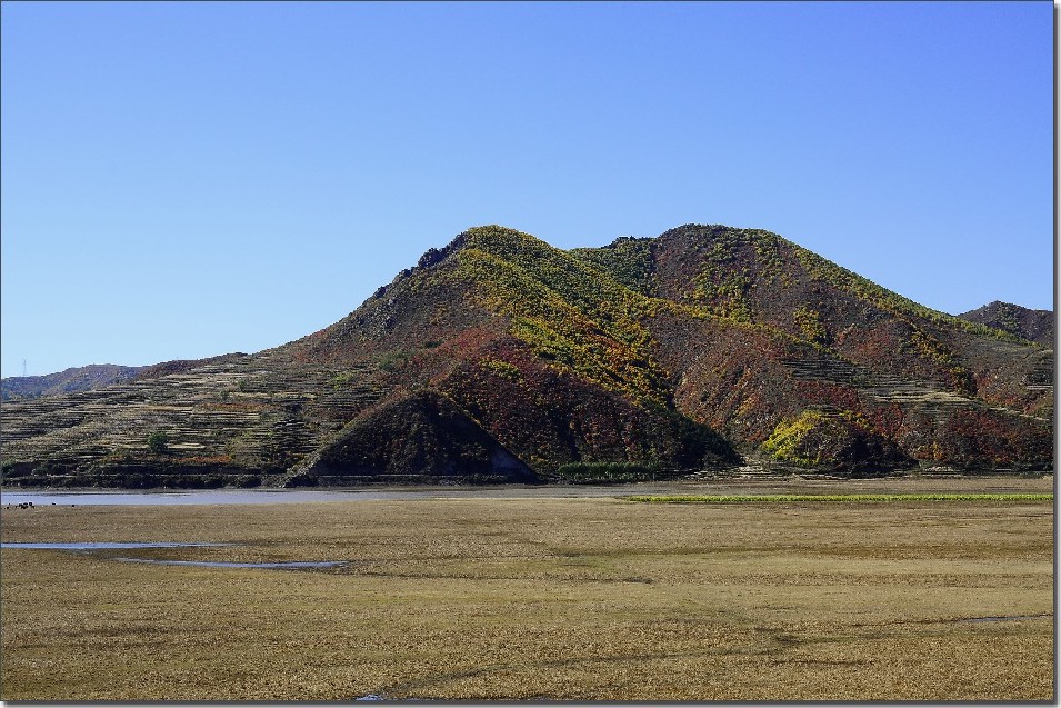 坝上秋色 520.jpg