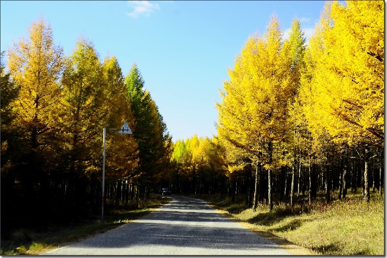 草原秋色 (109).jpg