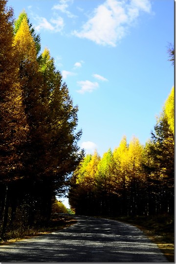 草原秋色 (106).jpg