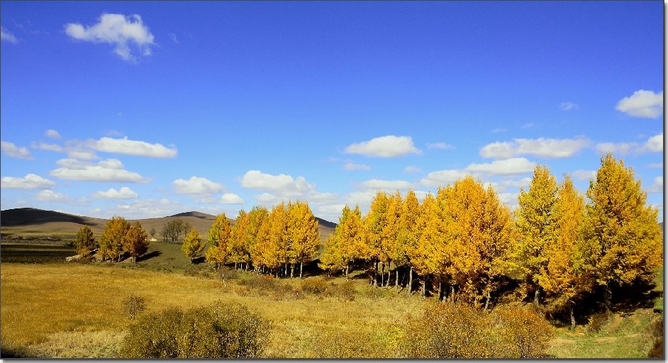 草原秋色 (178).jpg