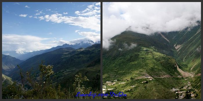 DSC08368_conew1.jpg