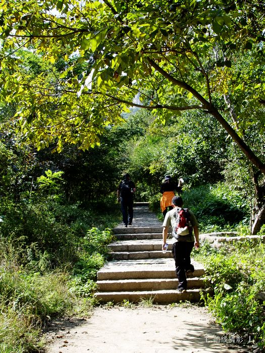 DSC08178-1.jpg