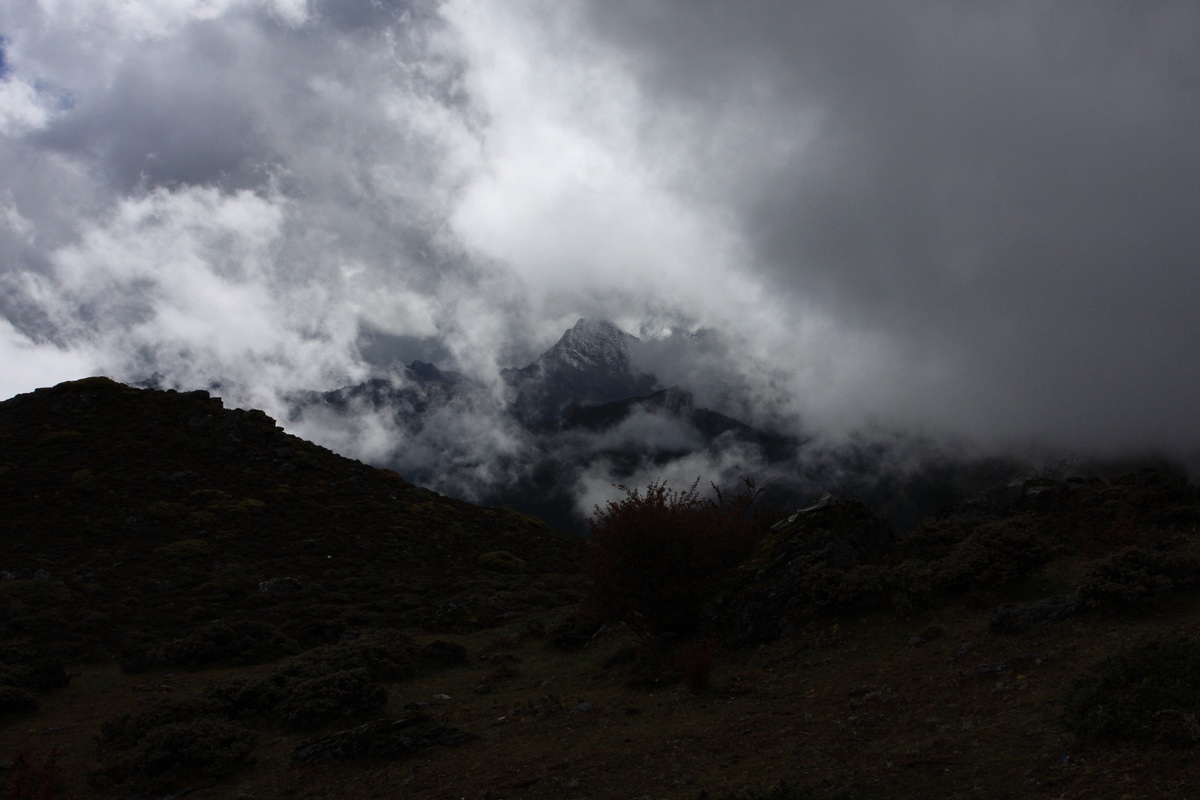 IMG_2035.JPG