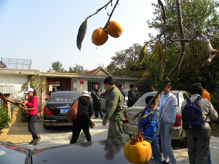 nEO_IMG_2010.10. 009.jpg