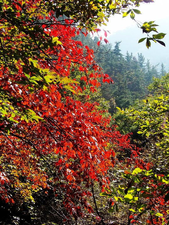 101_0081_缩小大小.JPG