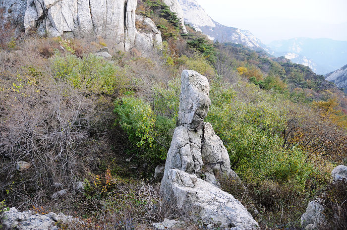 DSC_1612.jpg
