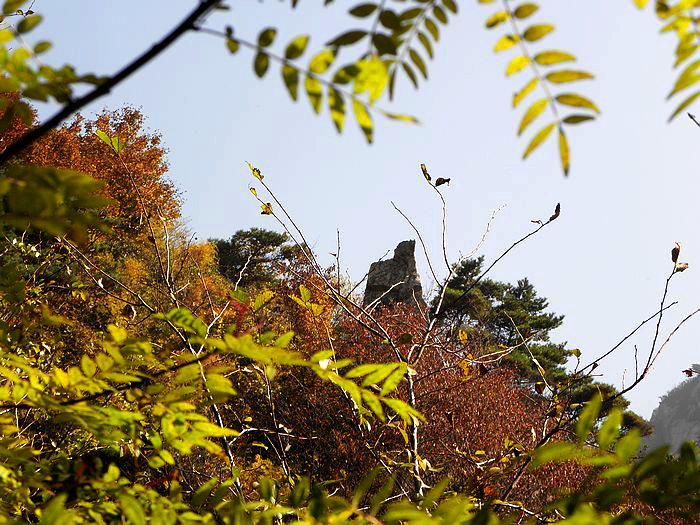 nEO_IMG_PA230045.jpg