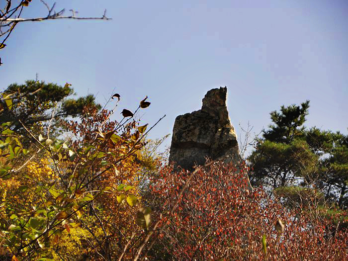 nEO_IMG_PA230050.jpg