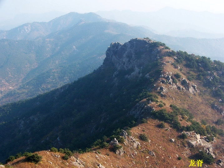 101_0225_缩小大小.JPG