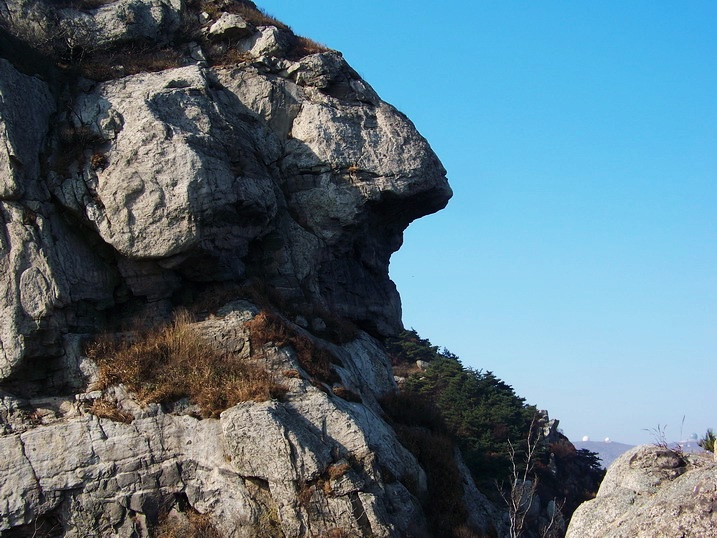 101_0229_缩小大小.JPG