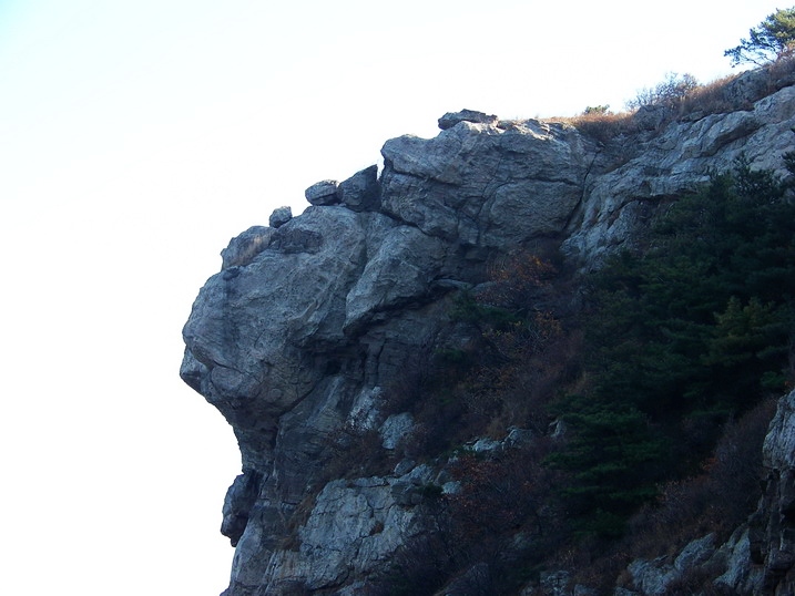 101_0245_缩小大小.JPG