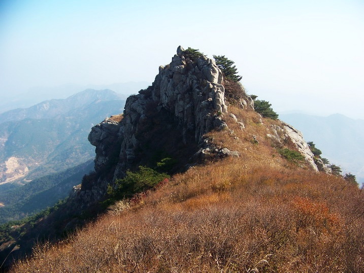 101_0254_缩小大小.JPG