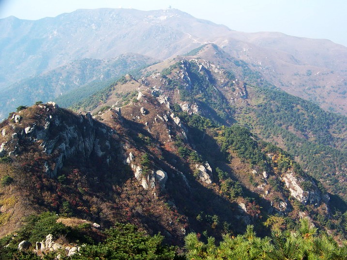 101_0263_缩小大小.JPG
