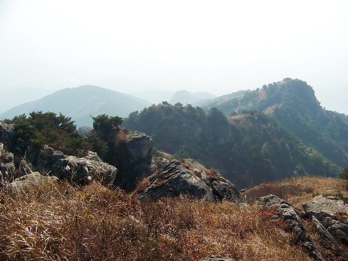 101_0265_缩小大小.JPG