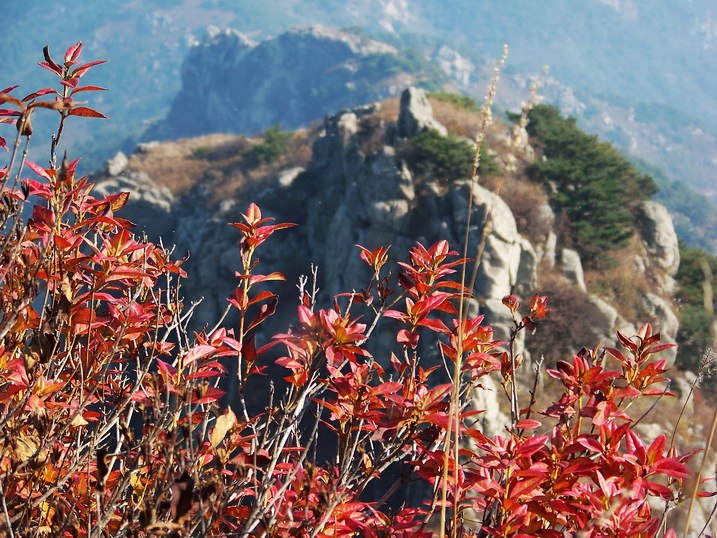 101_0274_缩小大小.JPG