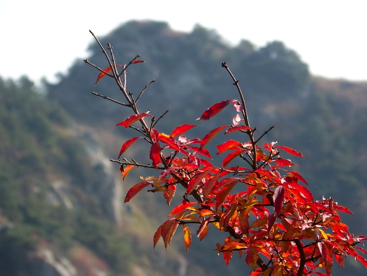 101_0280_缩小大小.JPG