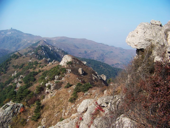 101_0282_缩小大小.JPG