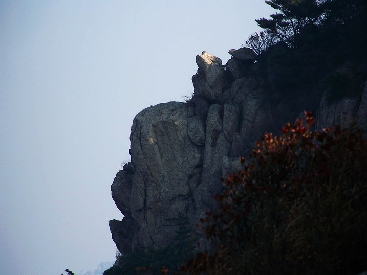 101_0285_缩小大小.JPG
