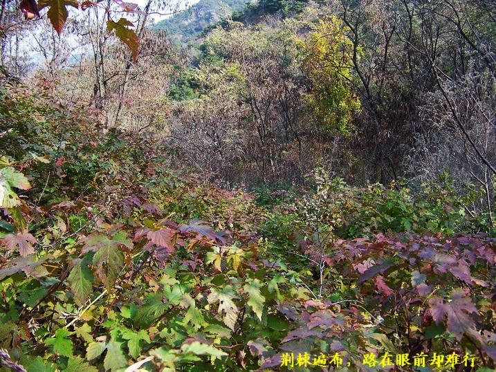 101_0356_缩小大小.JPG