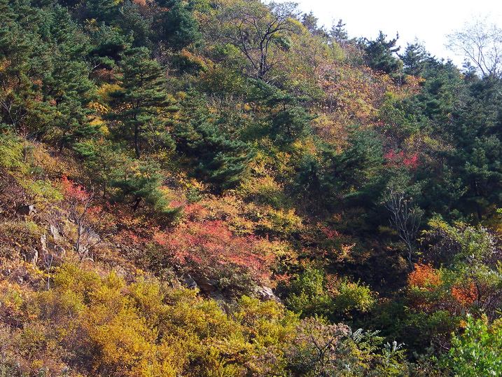101_0357_缩小大小.JPG