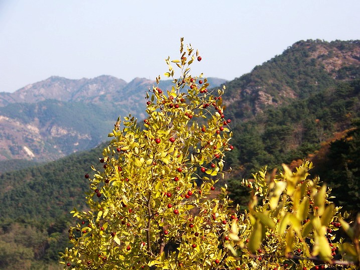 101_0350_缩小大小.JPG