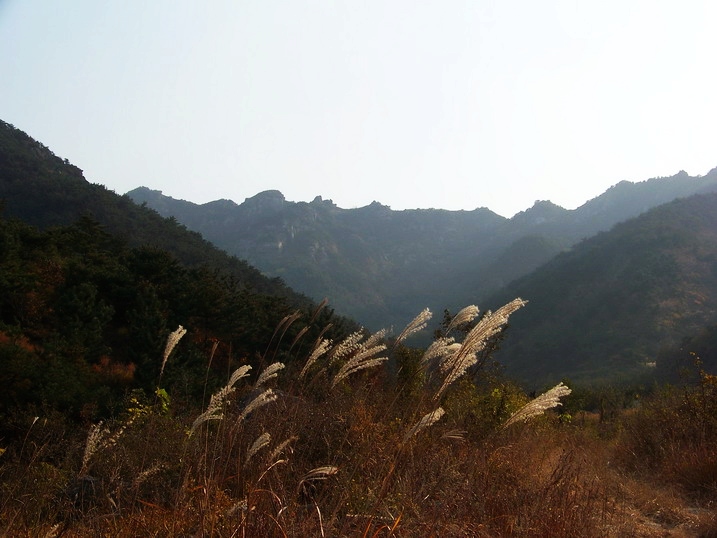 101_0362_缩小大小.JPG