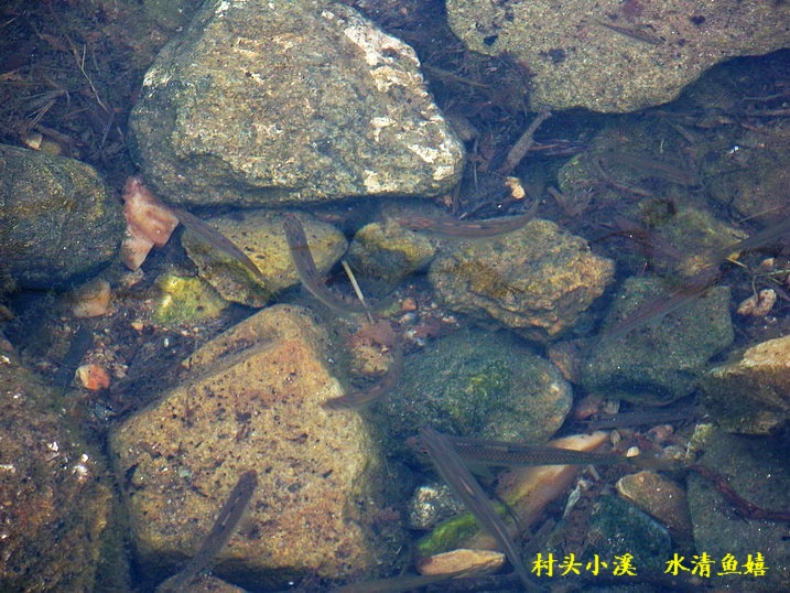 101_0378_缩小大小.JPG