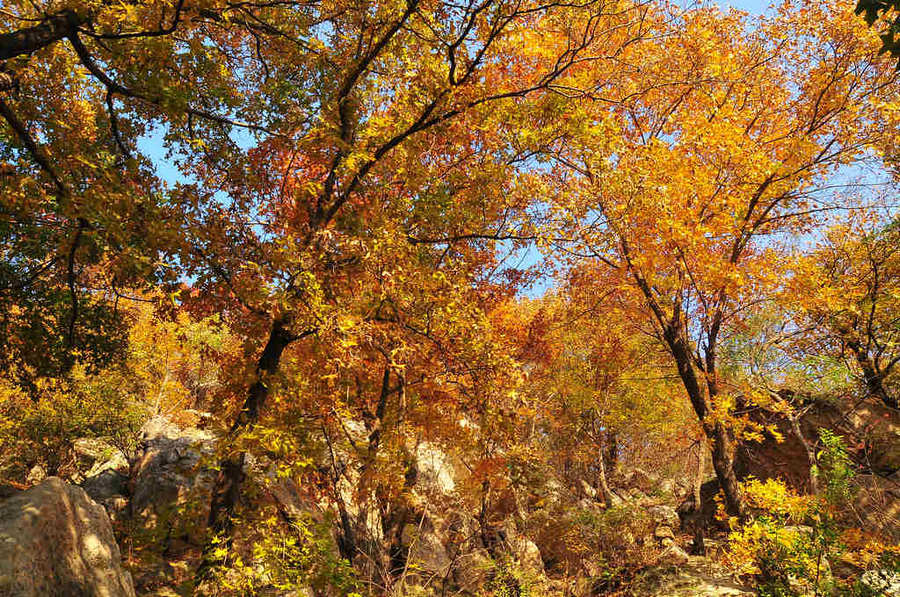 DSC_7469.jpg