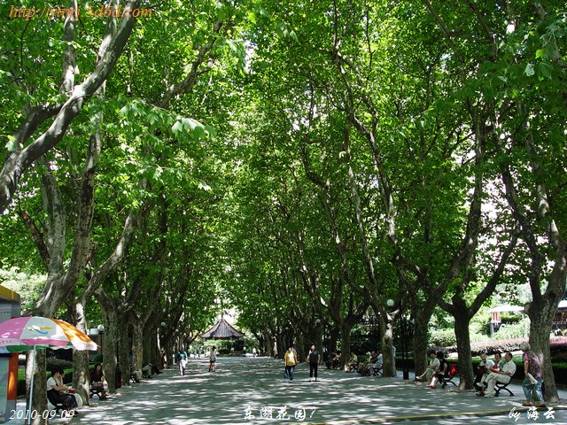 DSC02514.jpg