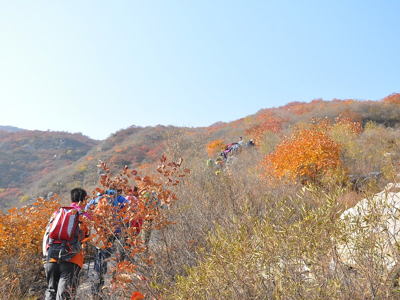 PhotoCap_054.jpg