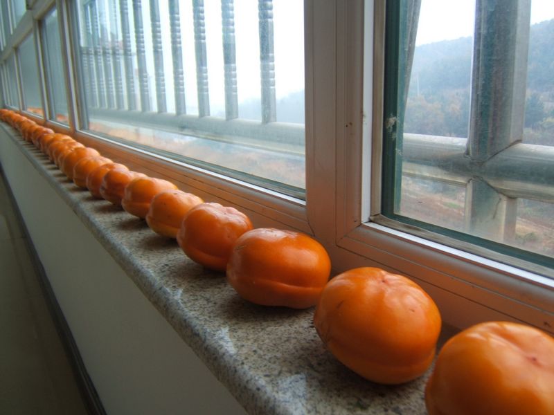 DSCF8183.jpg