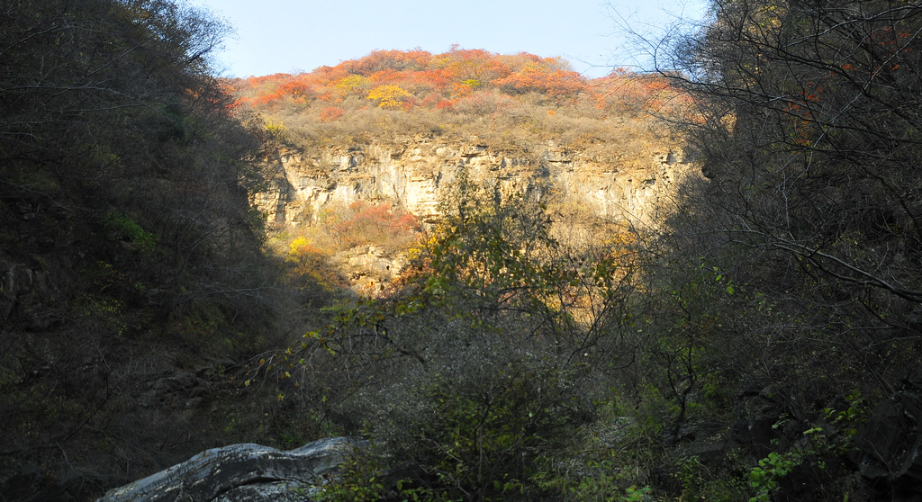 DSC_7985.jpg