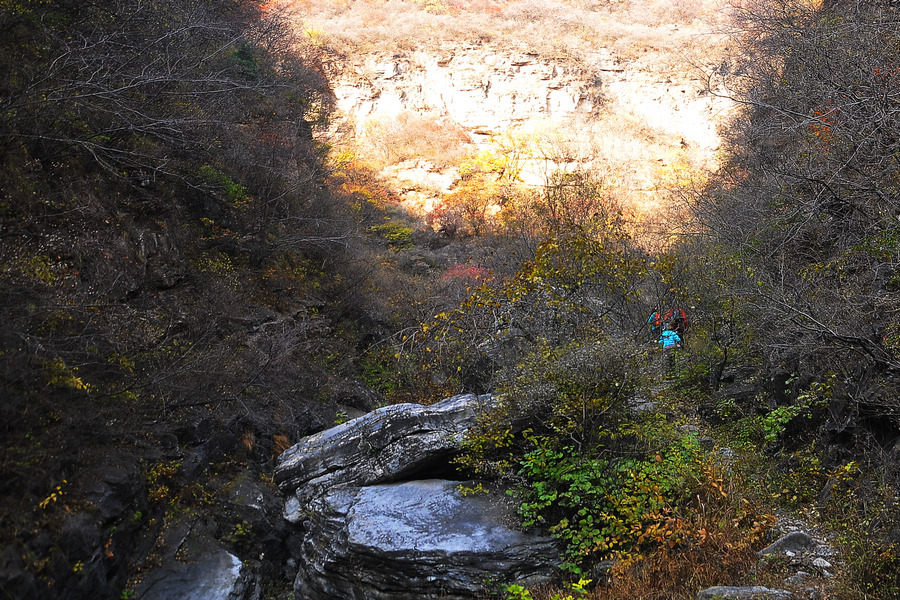 DSC_7984.jpg