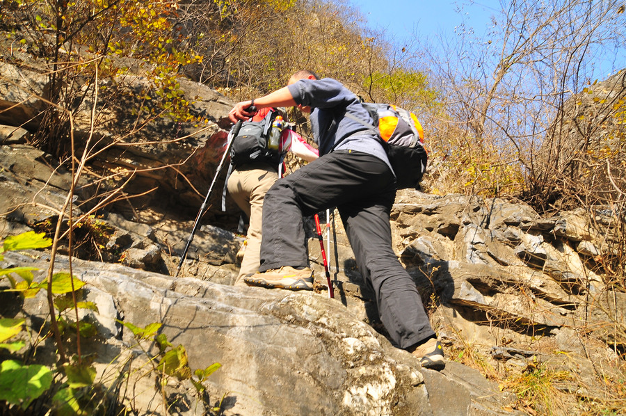 DSC_7990.jpg