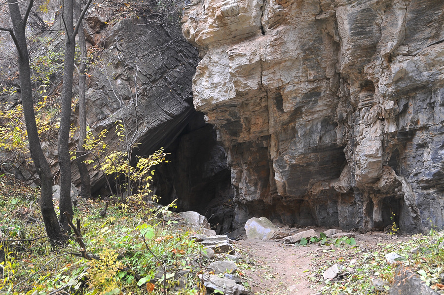 DSC_8125.jpg