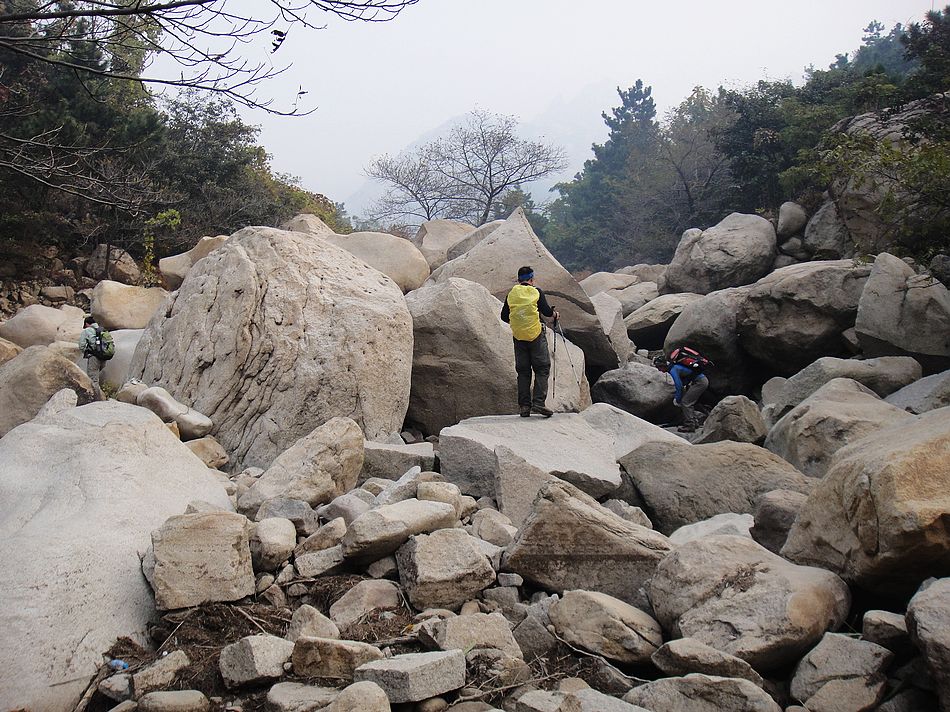 DSC07009.jpg