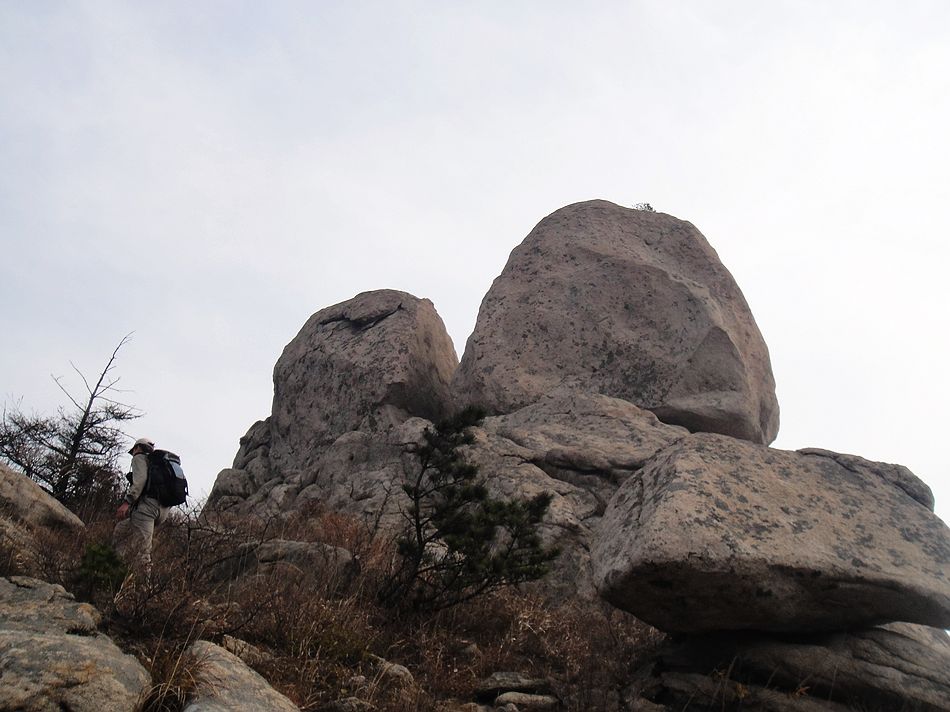 DSC07052.jpg
