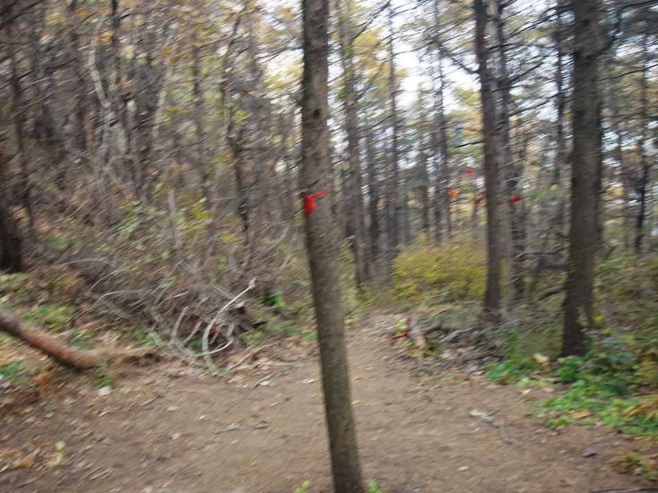 DSC07069.jpg