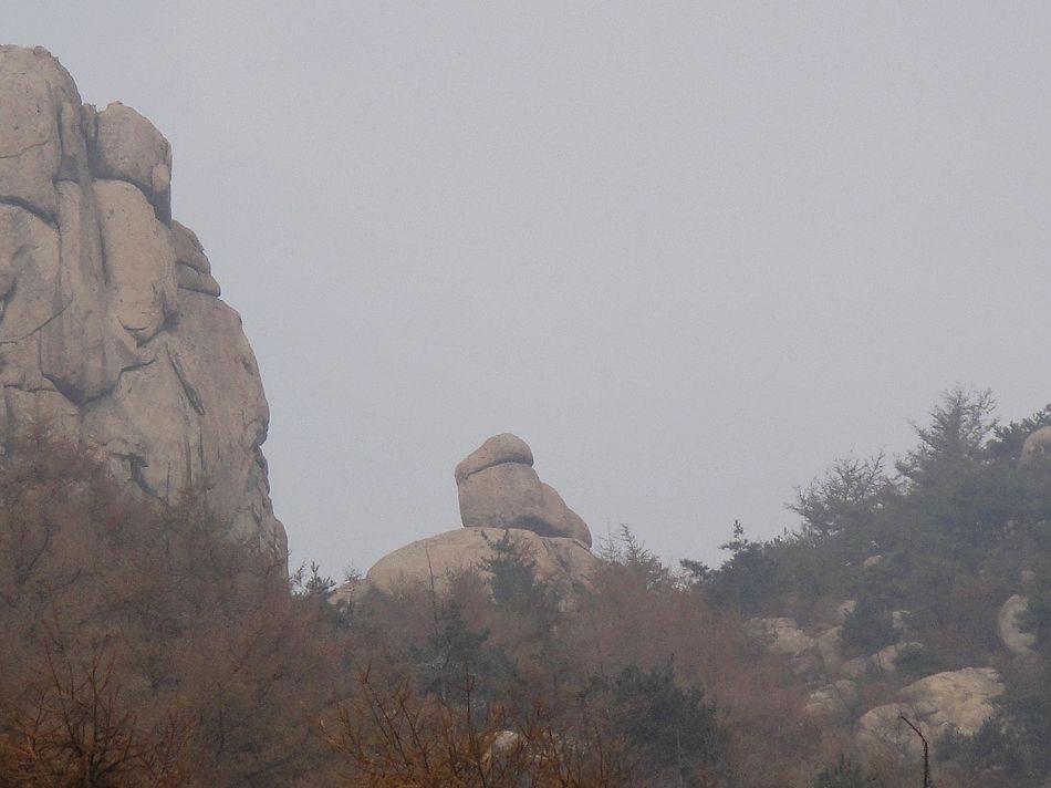 DSC07075.jpg